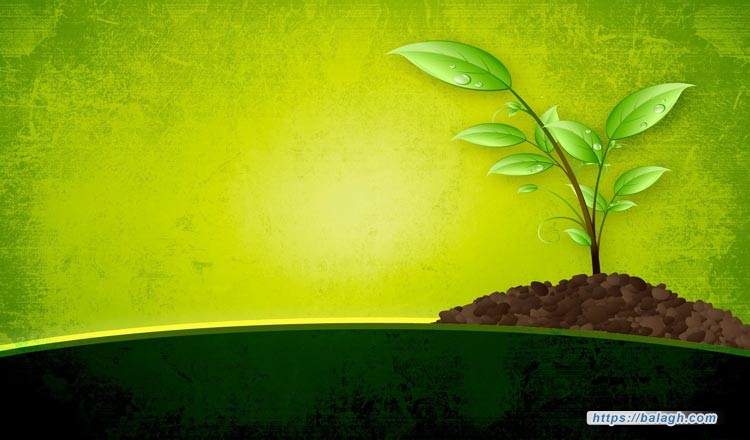 مسؤوليتنا في بناء الحياة